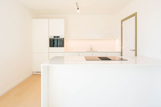 Witzandpad 22.3 7